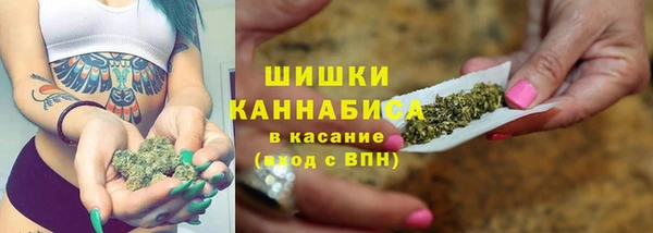 ECSTASY Белокуриха