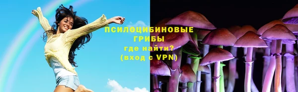 ECSTASY Белокуриха