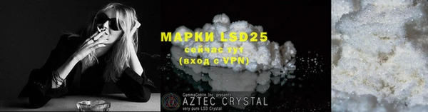 ECSTASY Белокуриха