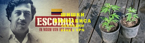 ECSTASY Белокуриха