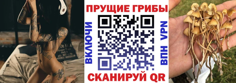 Галлюциногенные грибы Cubensis  где купить наркоту  Малмыж 